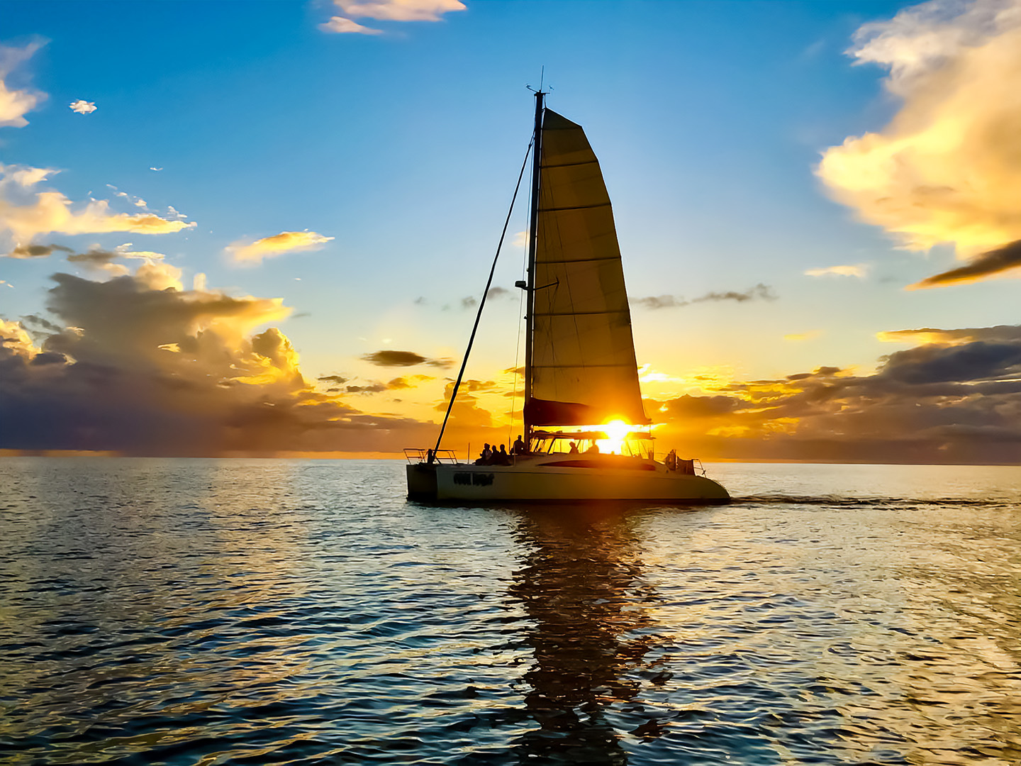 Cool Beans Cruises Sunset #1