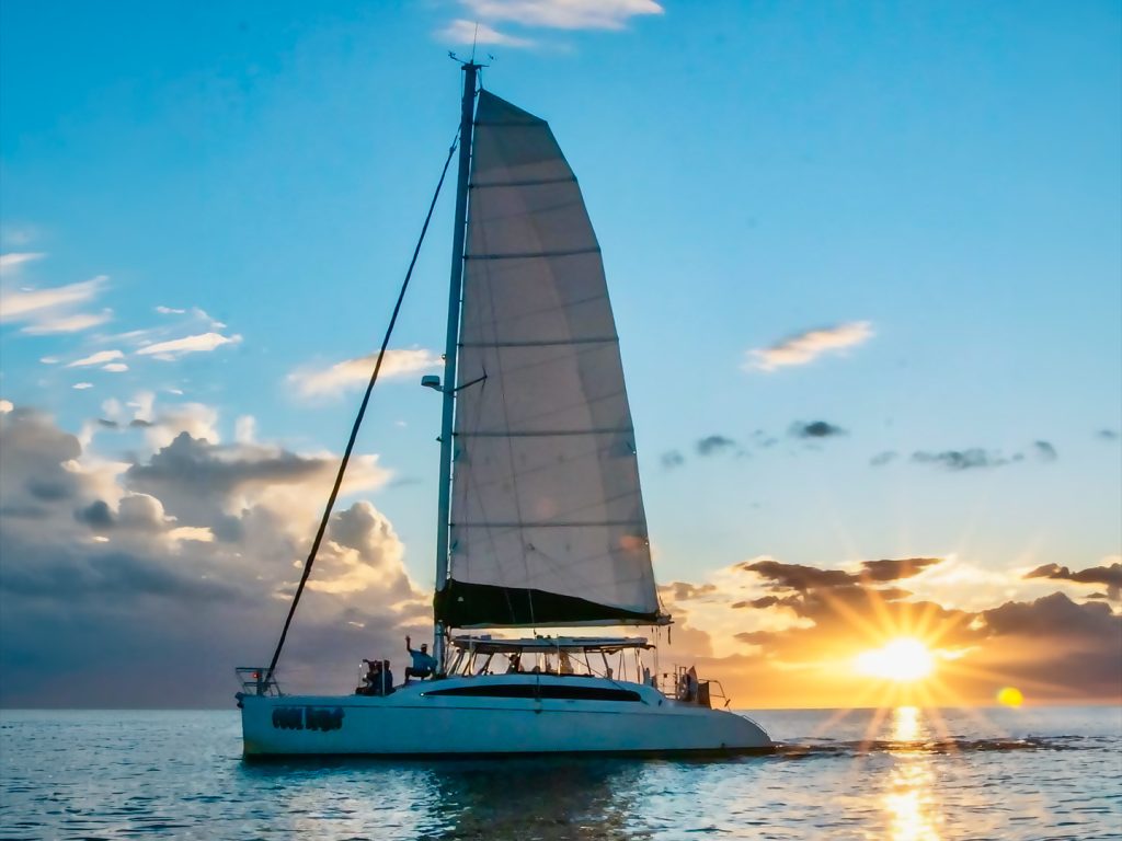 Champagne Sunset Catamaran Cruise